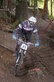 761__DSC0203 (3)